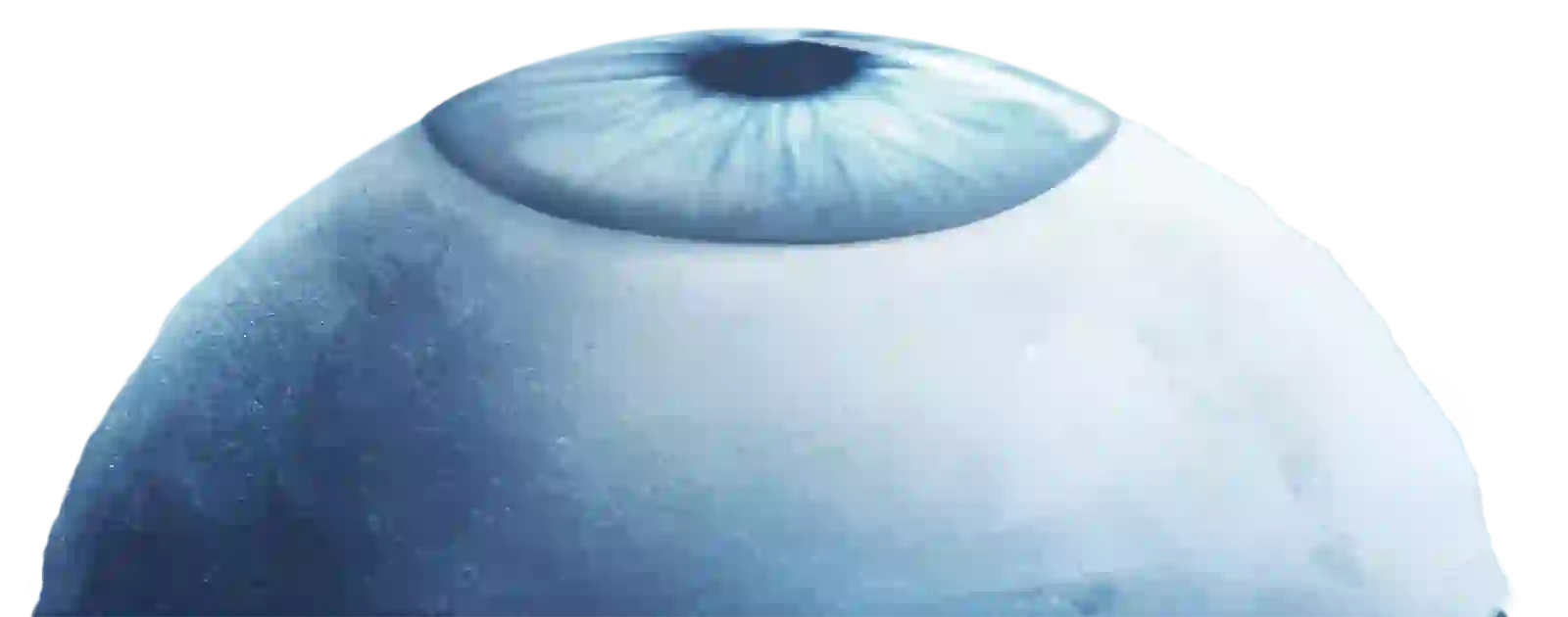 eyesburg-top-kiran-challa